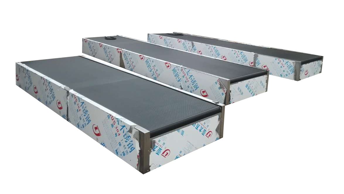 Check-in Conveyor Belt Luggage Weighing System for Airport